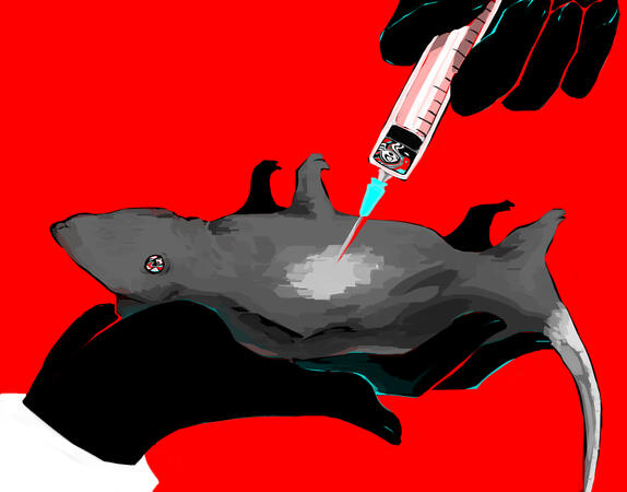 strovi